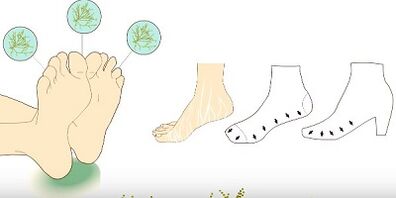 preventing the appearance of fungus on the toes